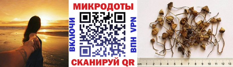 Псилоцибиновые грибы ЛСД  Первомайск 